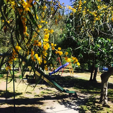 מלון La Mimosa 2*